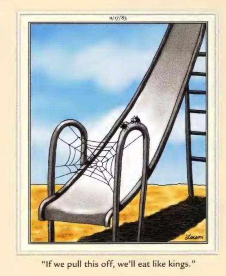 Far Side Spiders