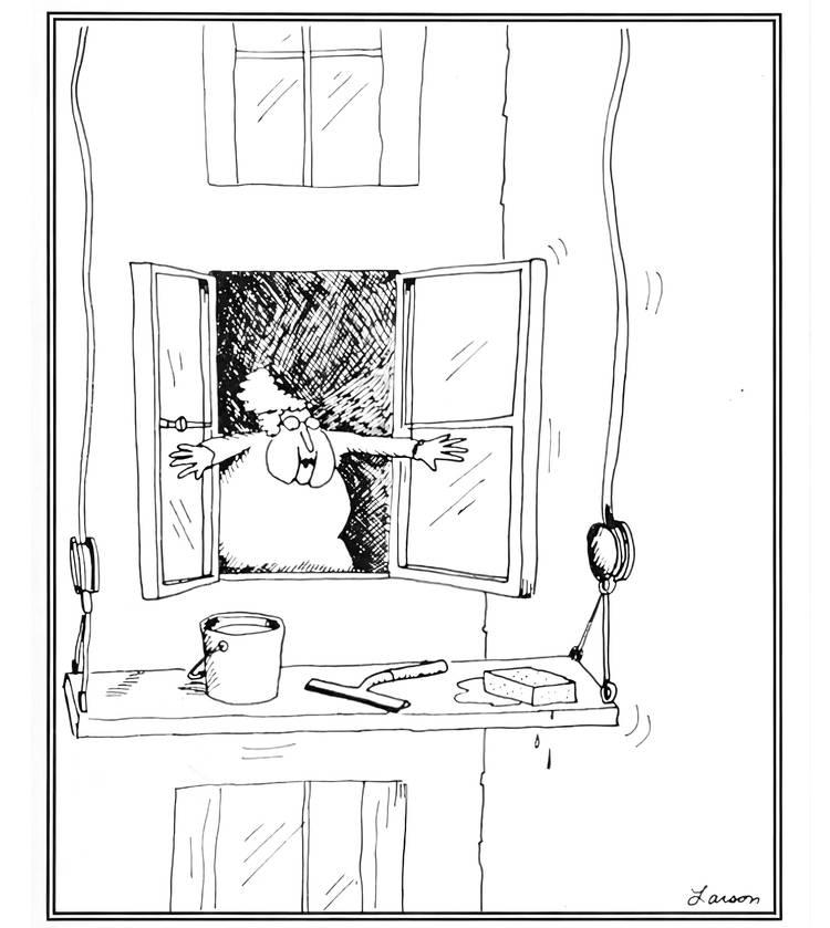 far side window washer
