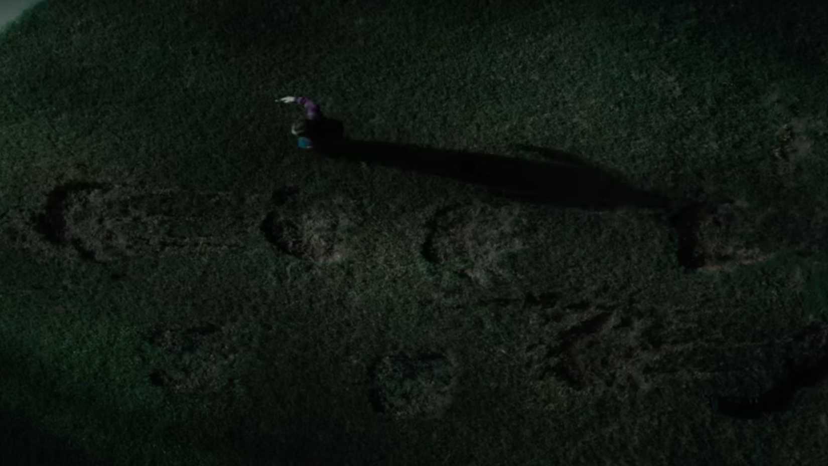 Footprints of a giant dinosaur in The End of Oak Street