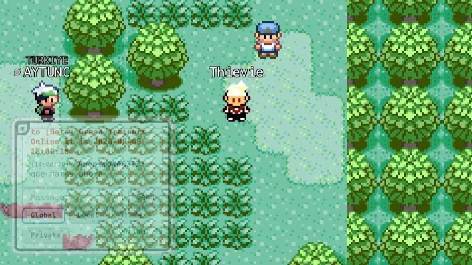 Two trainers stood near some grass in Green Trainers Online.