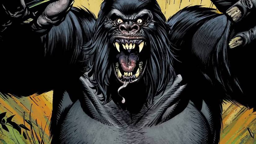 Gorilla Grodd lunging forward, showing his teeth.