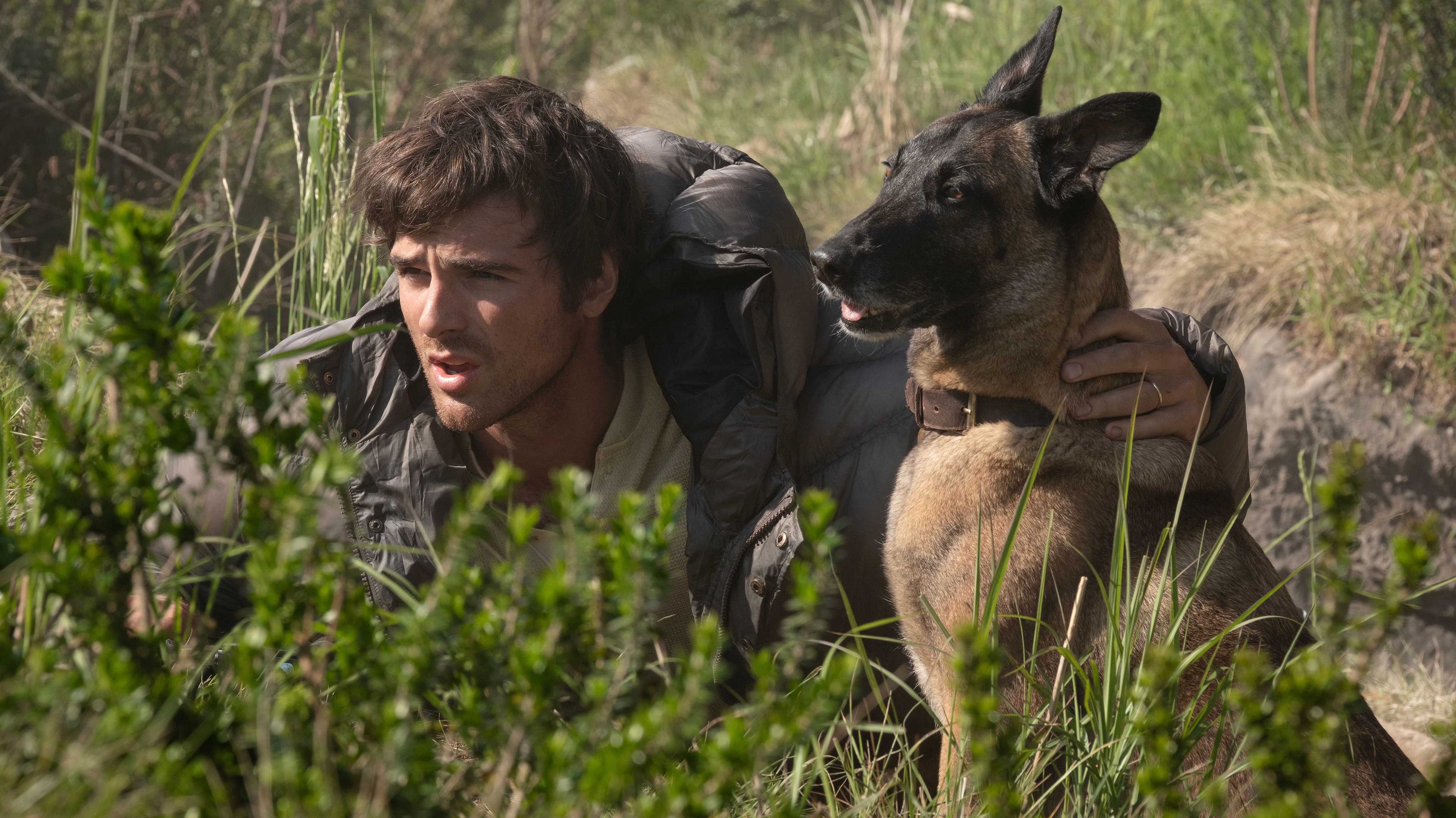 Jacob Elordi's Hig and his dog hiding behind brush in The Dog Stars