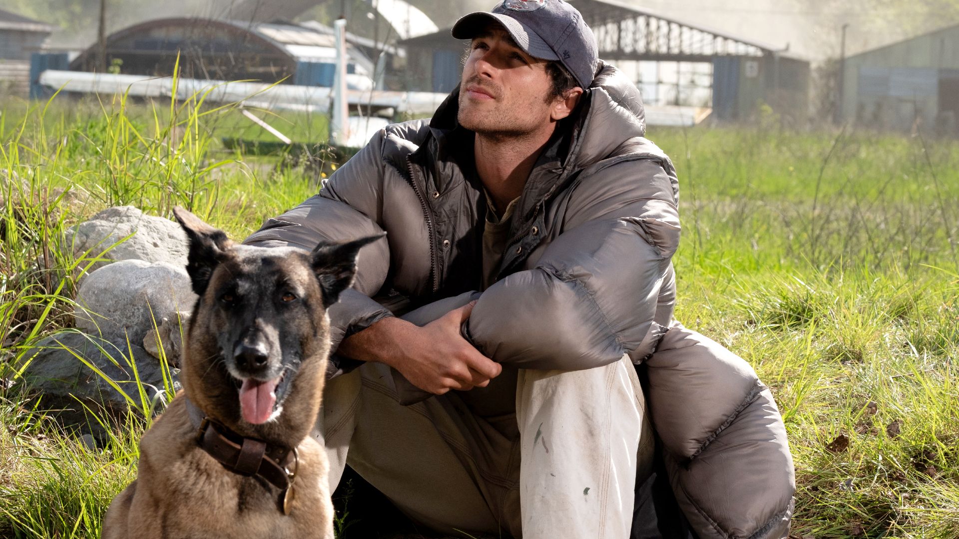 Ridley Scott's The Dog Stars Earns One Of The Director's Lowest Box Office Debuts Of The Century image
