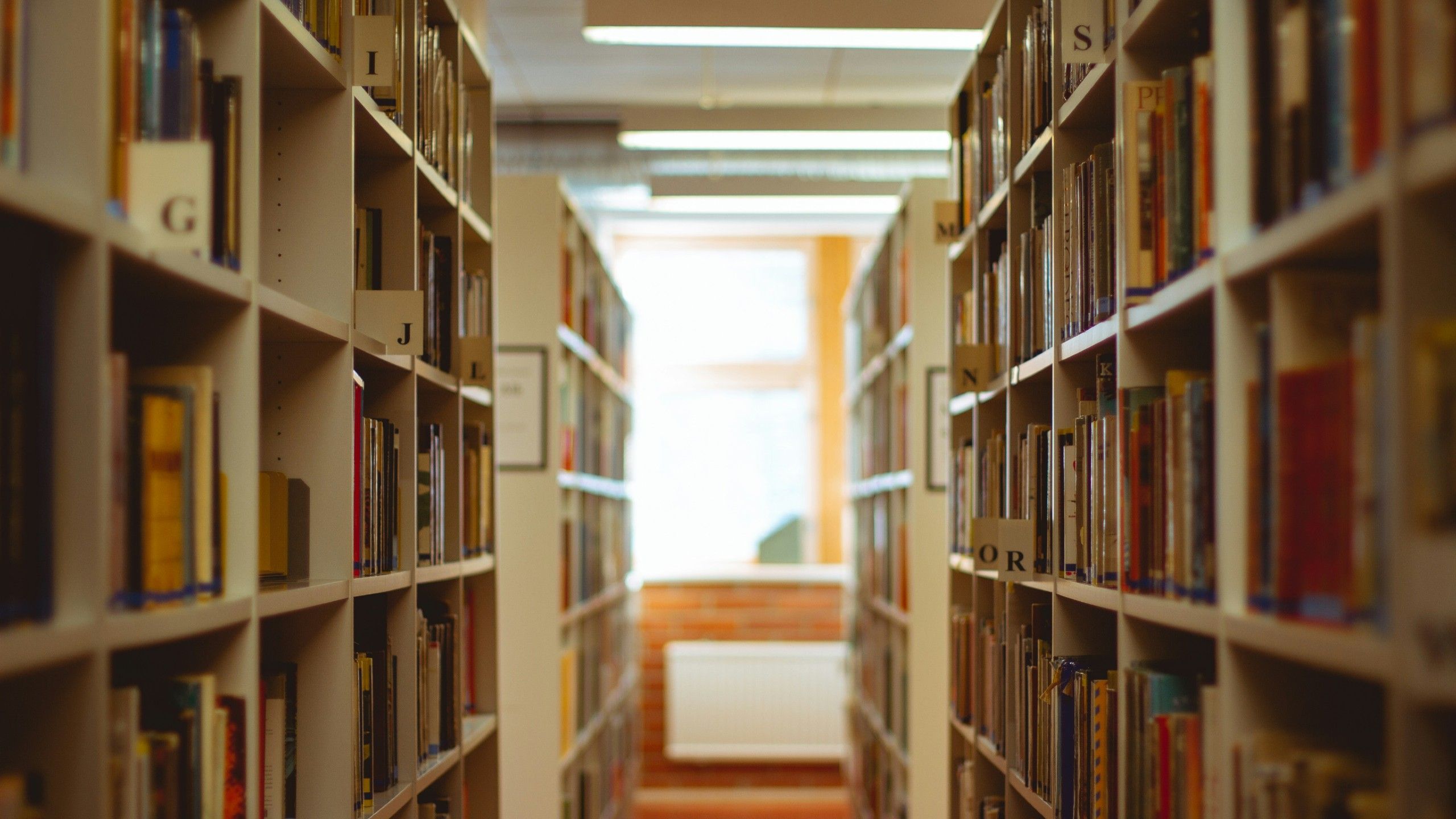Books You Pretended To Read In High School That Every Adult Needs To Actually Read image