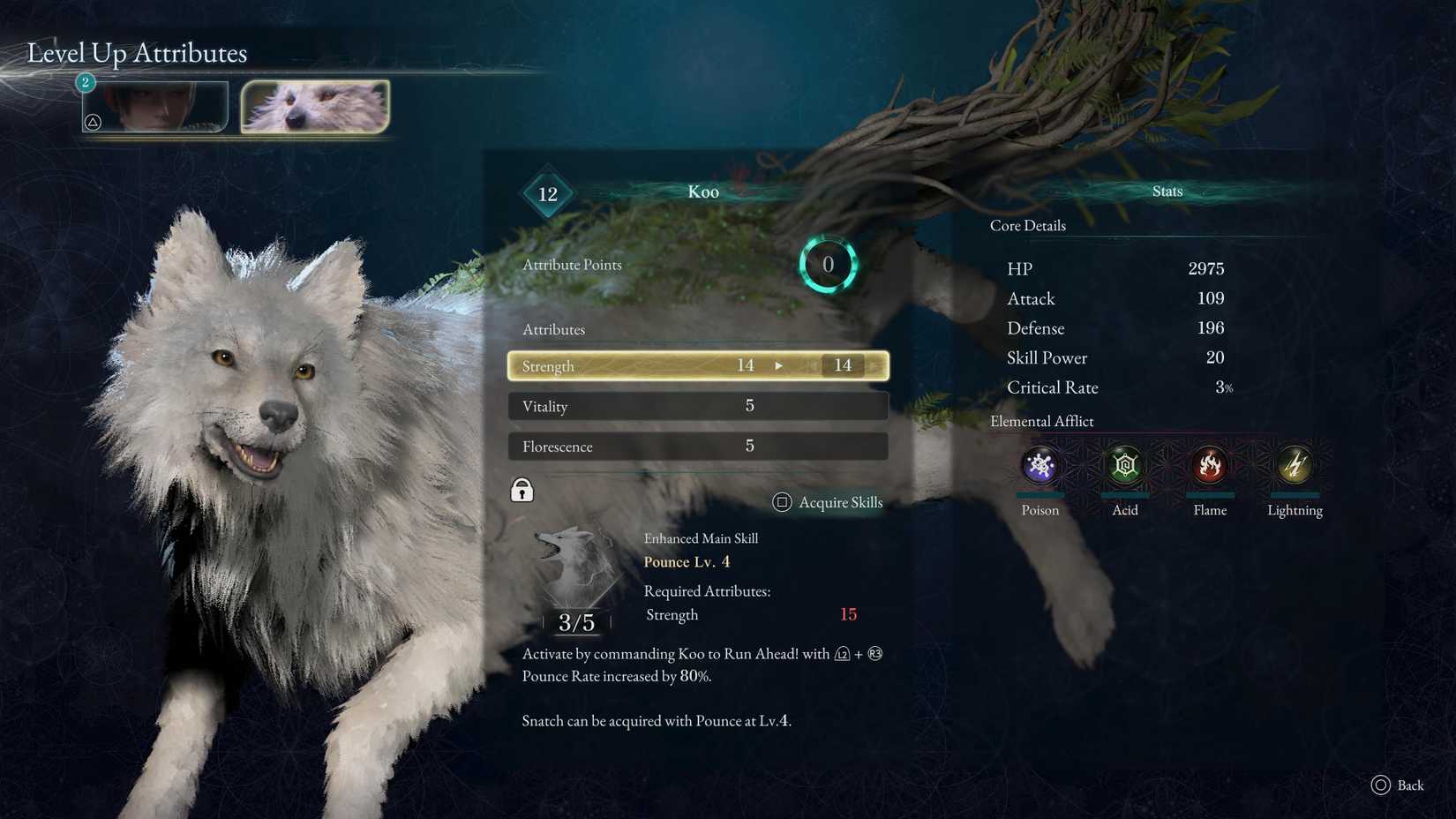 Koo attribute points in beast of reincarnation