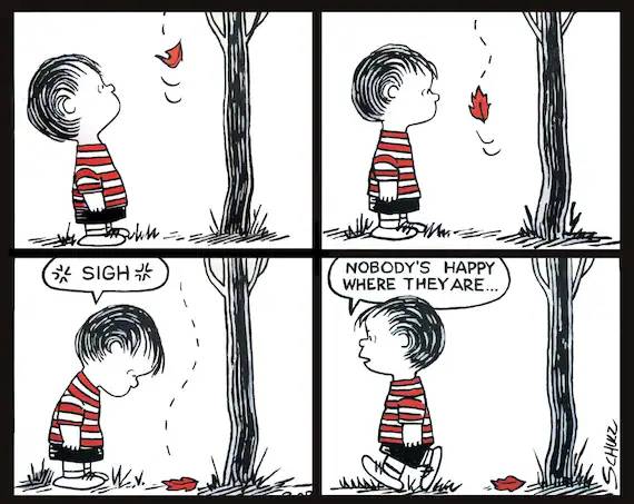 Linus van Pelt watches a leaf fall during Autumn in Peanuts comic