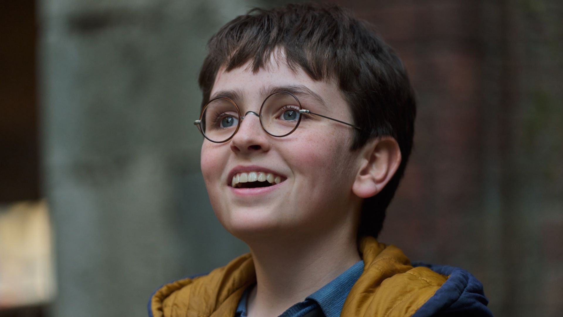 If HBO's Harry Potter Changes One Thing From The Books, Please Fix Harry's Future Job