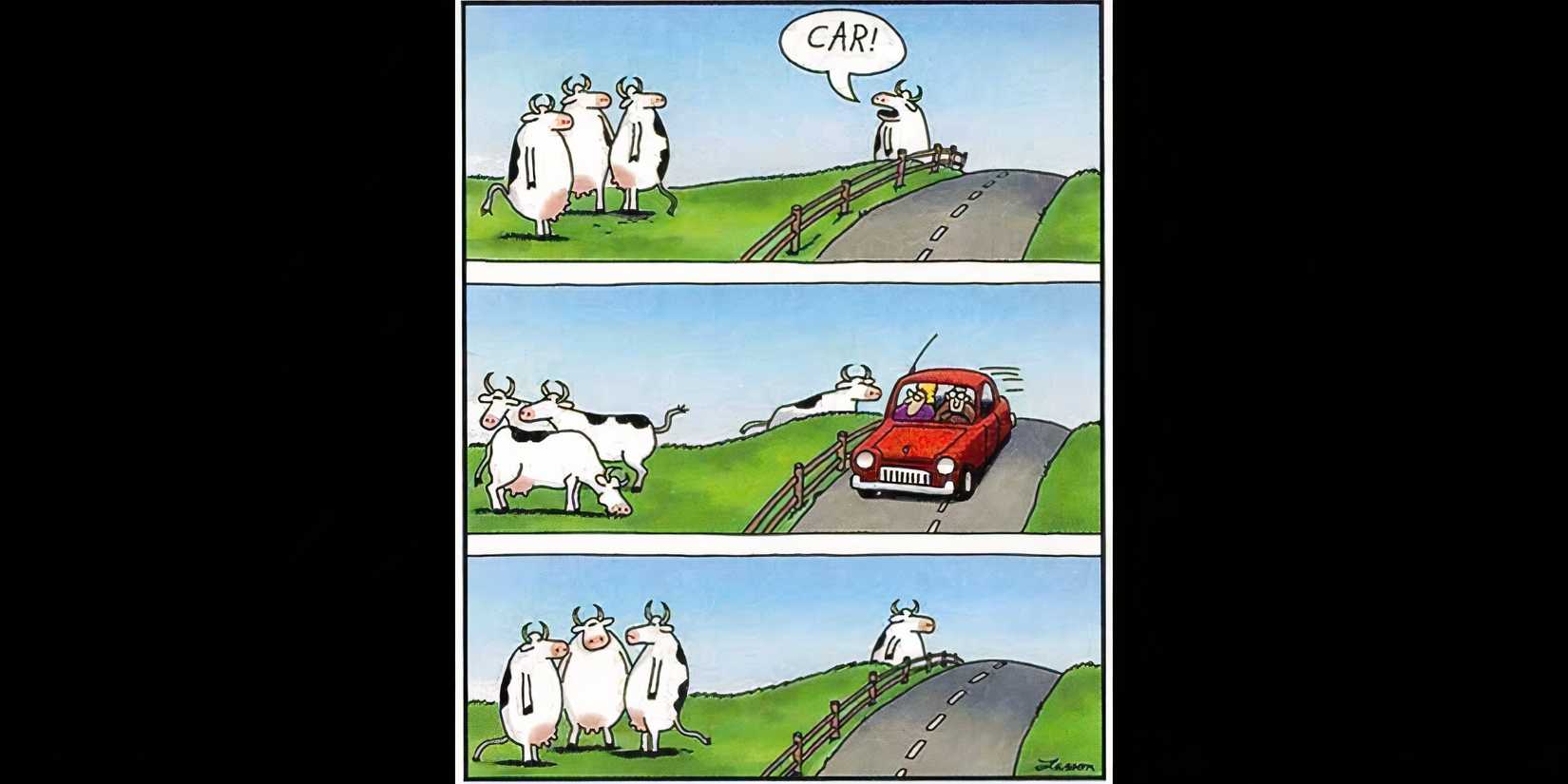  “Cow Stand upright... ‘Car!” 
