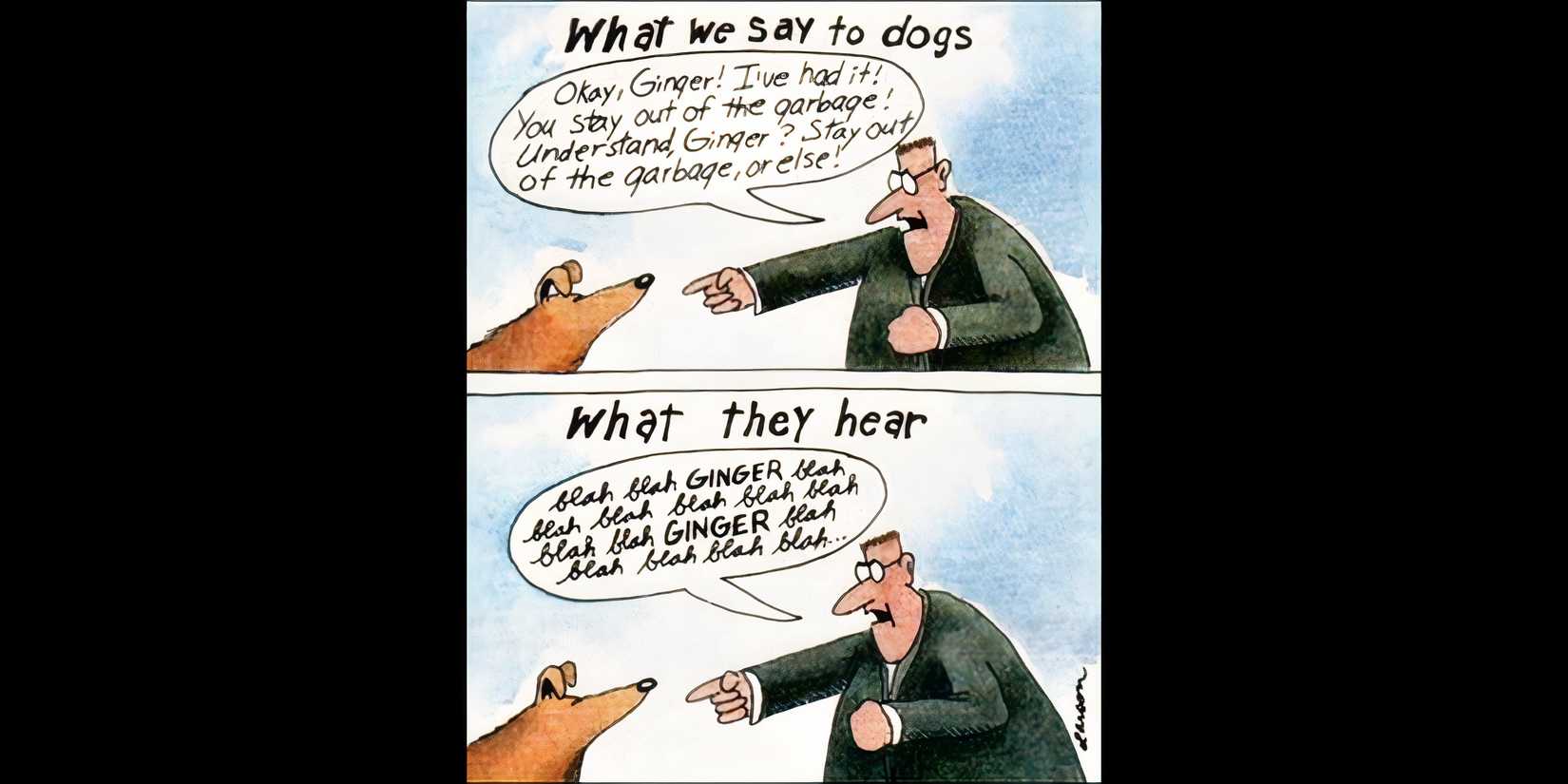 What Dogs Hear vs. What Humans Say - Far Side