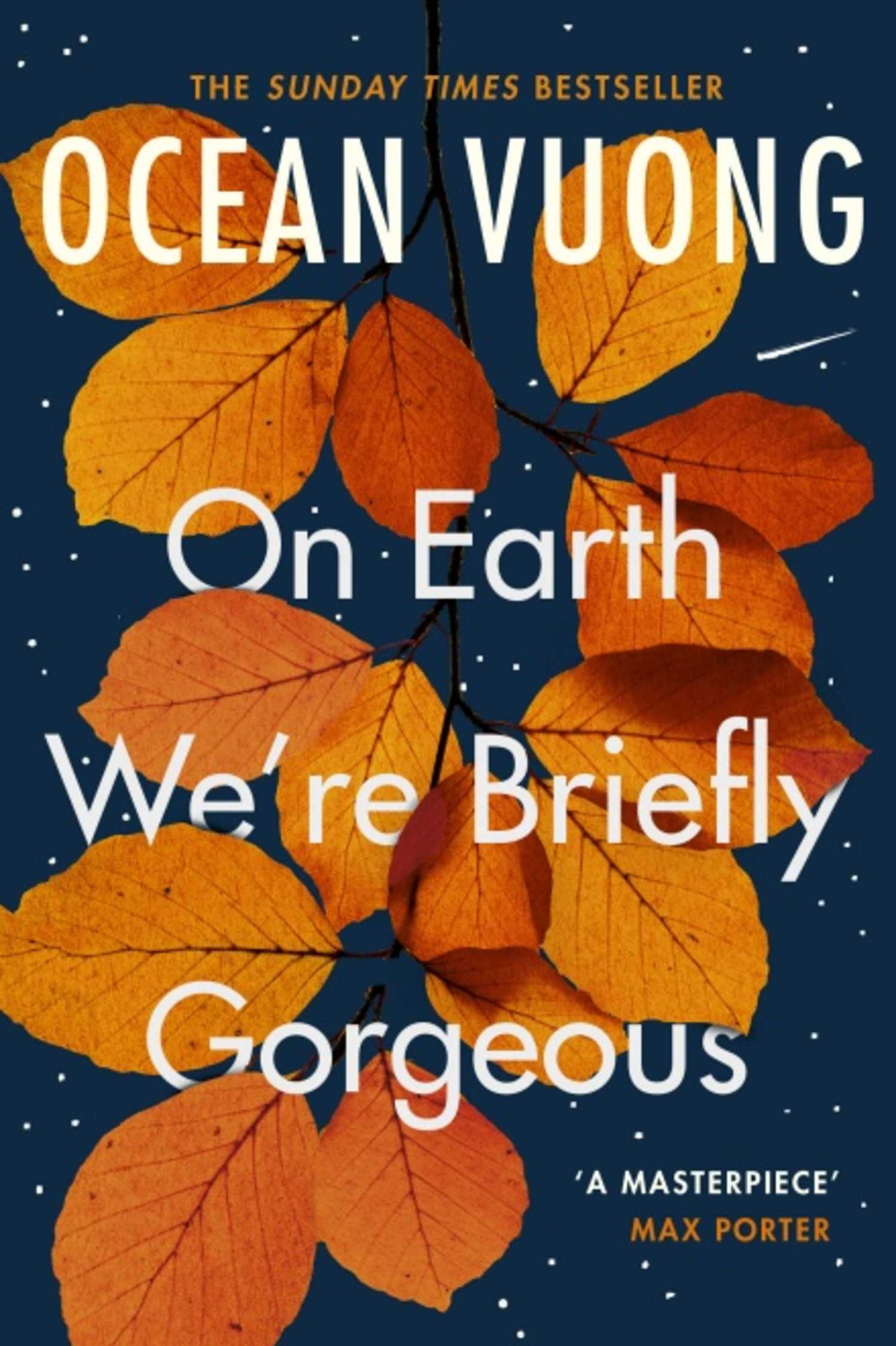 On Earth We're Briefly Gorgeous book cover, leaves against a starry sky