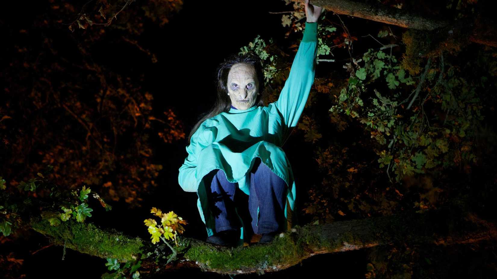A Wesen woman wearing doctor scrubs sits on a tree branch in a still from Grimm