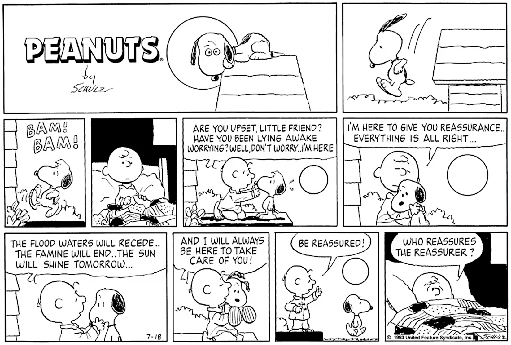Peanuts Charlie Brown Who Reassures the Reassurer