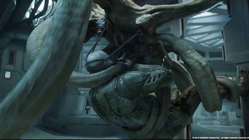 A Trilobite latching onto an Engineer in Prometheus.