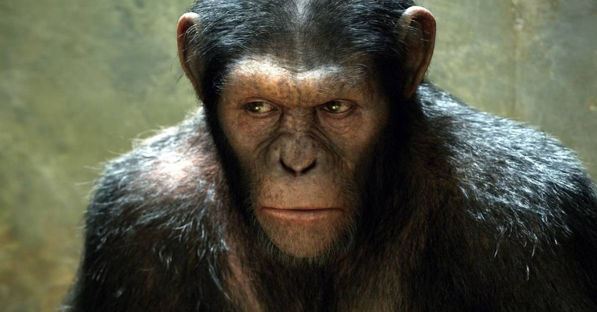 screenrant.com - Dalton Norman - The Best Movie Reboot Franchise Of The 2010s Started 15 Years Ago (& Its Future Is Confusing)