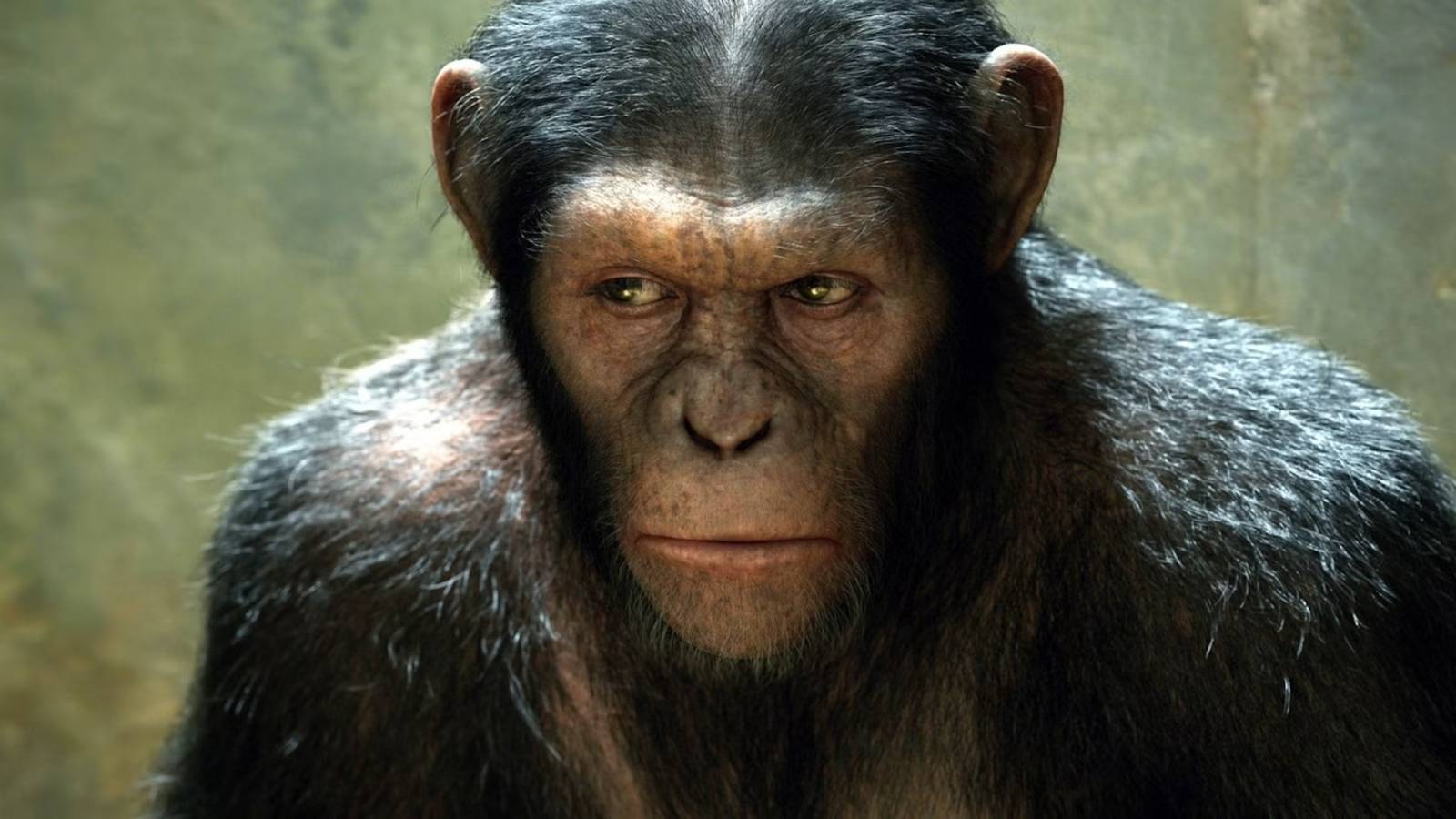 The Best Movie Reboot Franchise Of The 2010s Started 15 Years Ago (& Its Future Is Confusing)