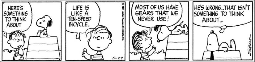 Snoopy and Linus van Pelt in Peanuts' “Life is like a ten-speed bicycle” comic strip