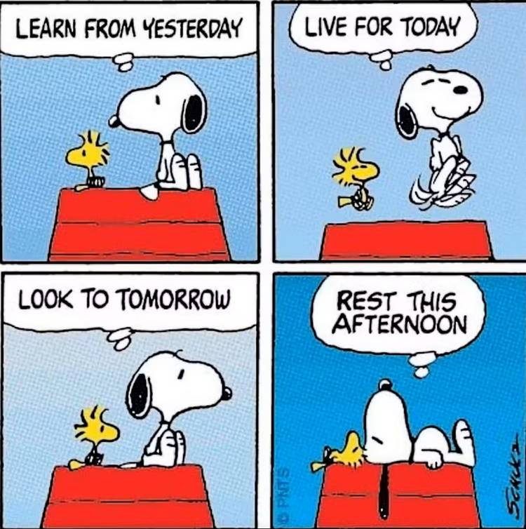 Snoopy says his rest this afternoon quote in Peanuts comic strip