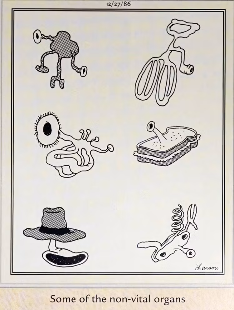 Some of the non vital organs, the far side