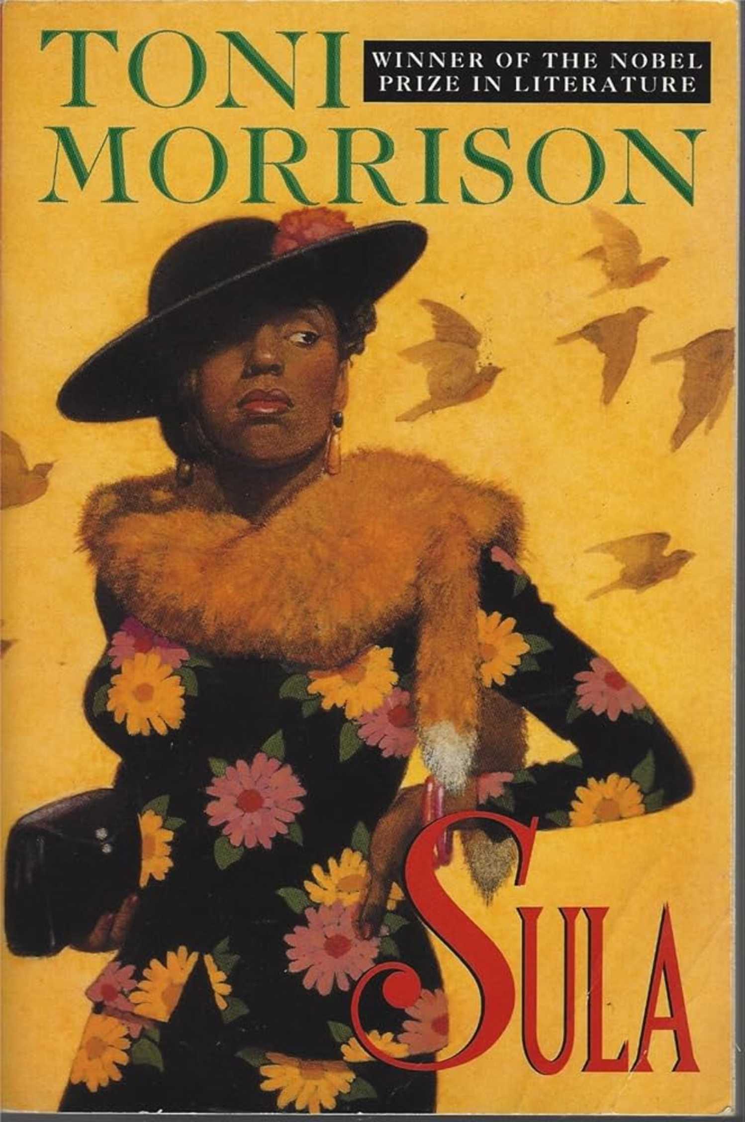 Sula book cover