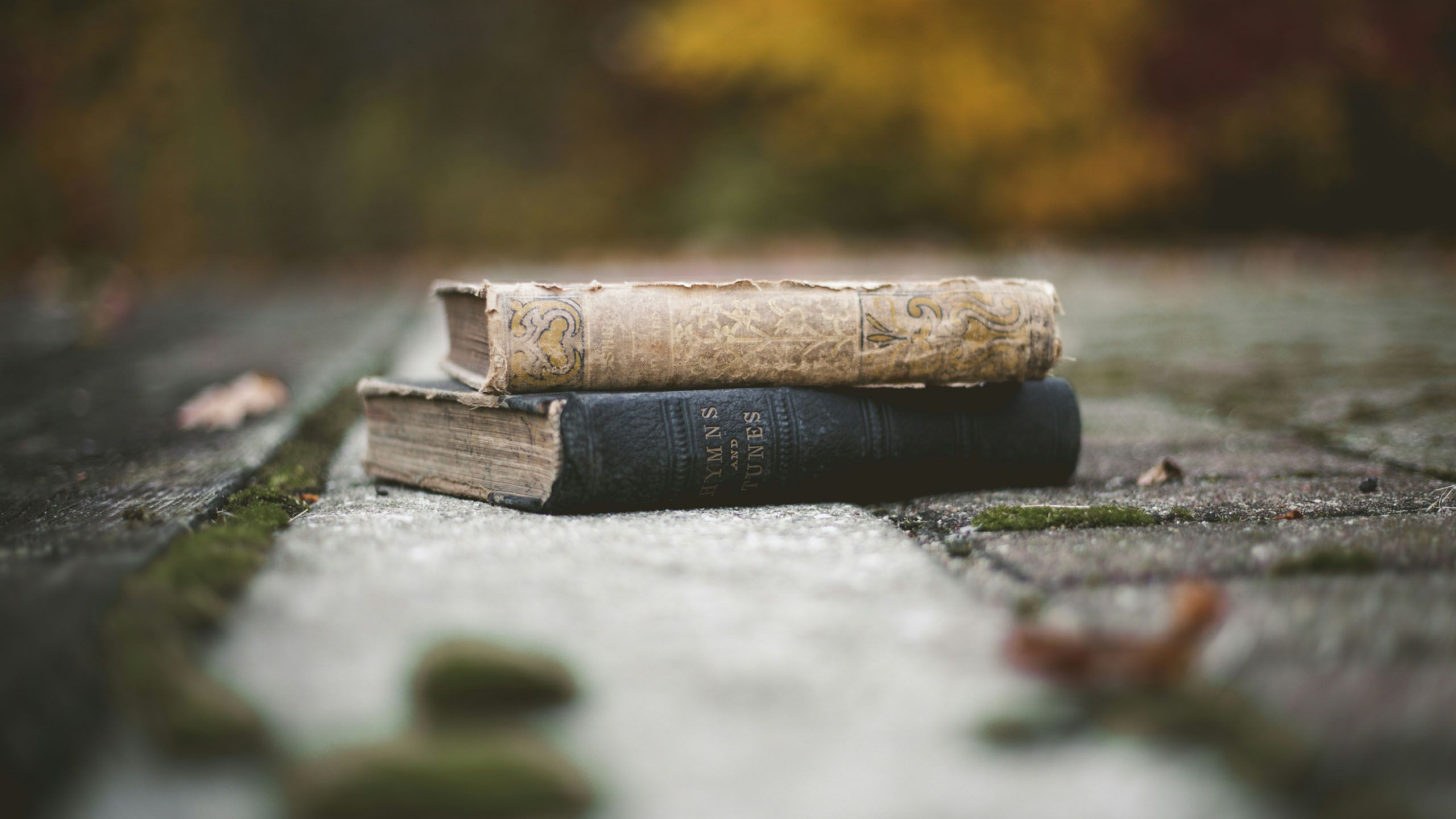 10 Greatest Opening Lines In Literary History, Ranked image