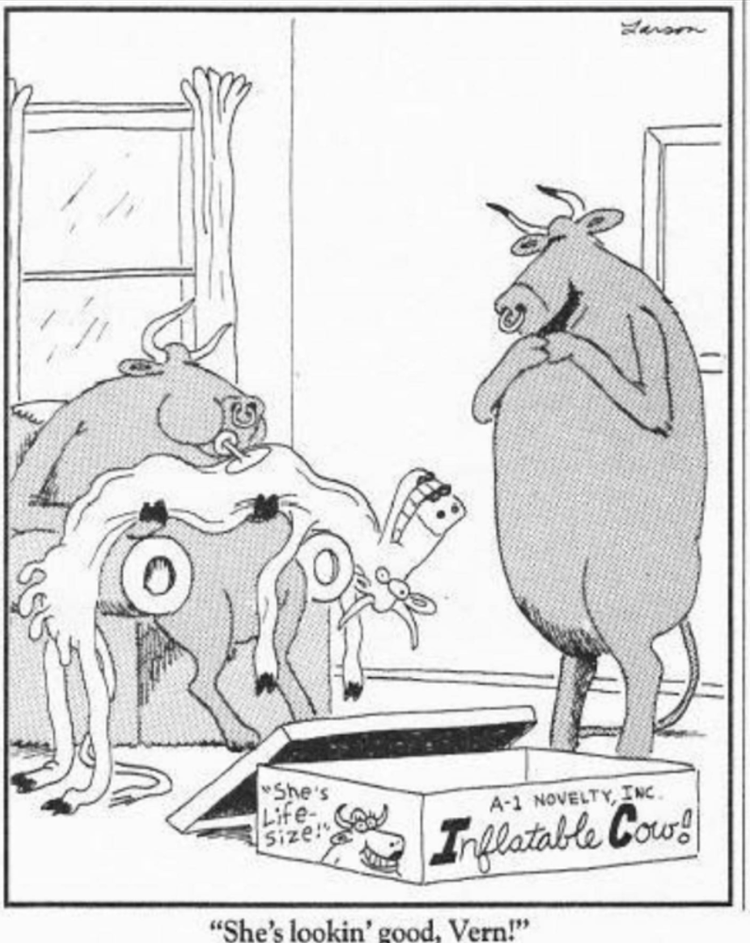 The Blow-up Cow the Far Side
