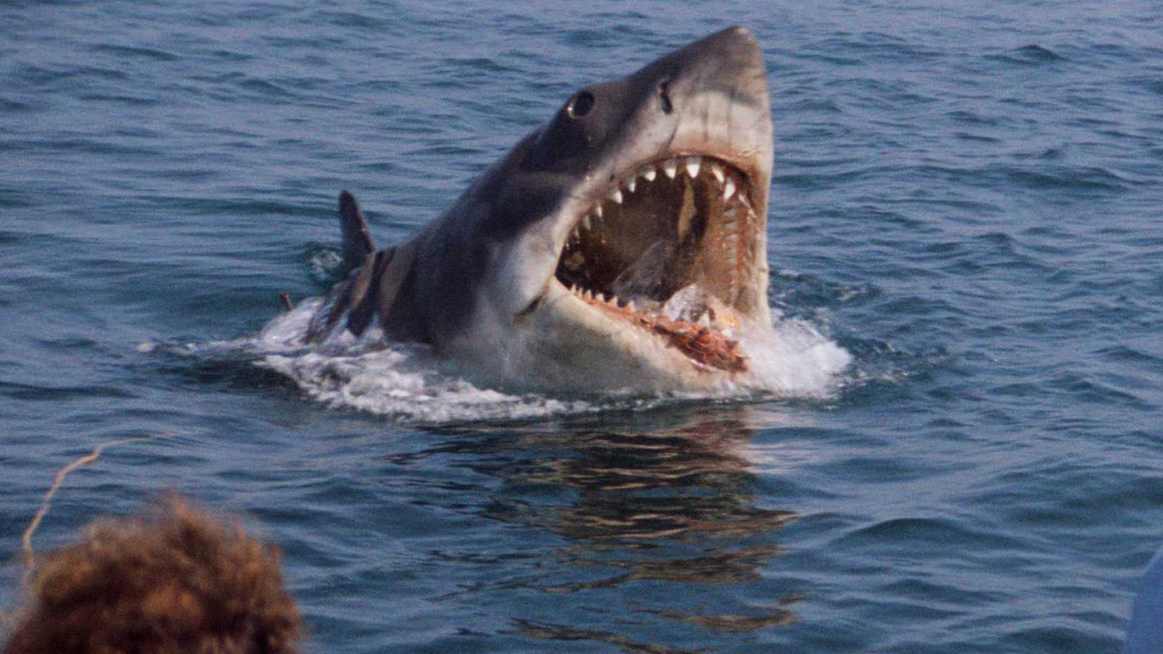The shark in Jaws opening its mouth