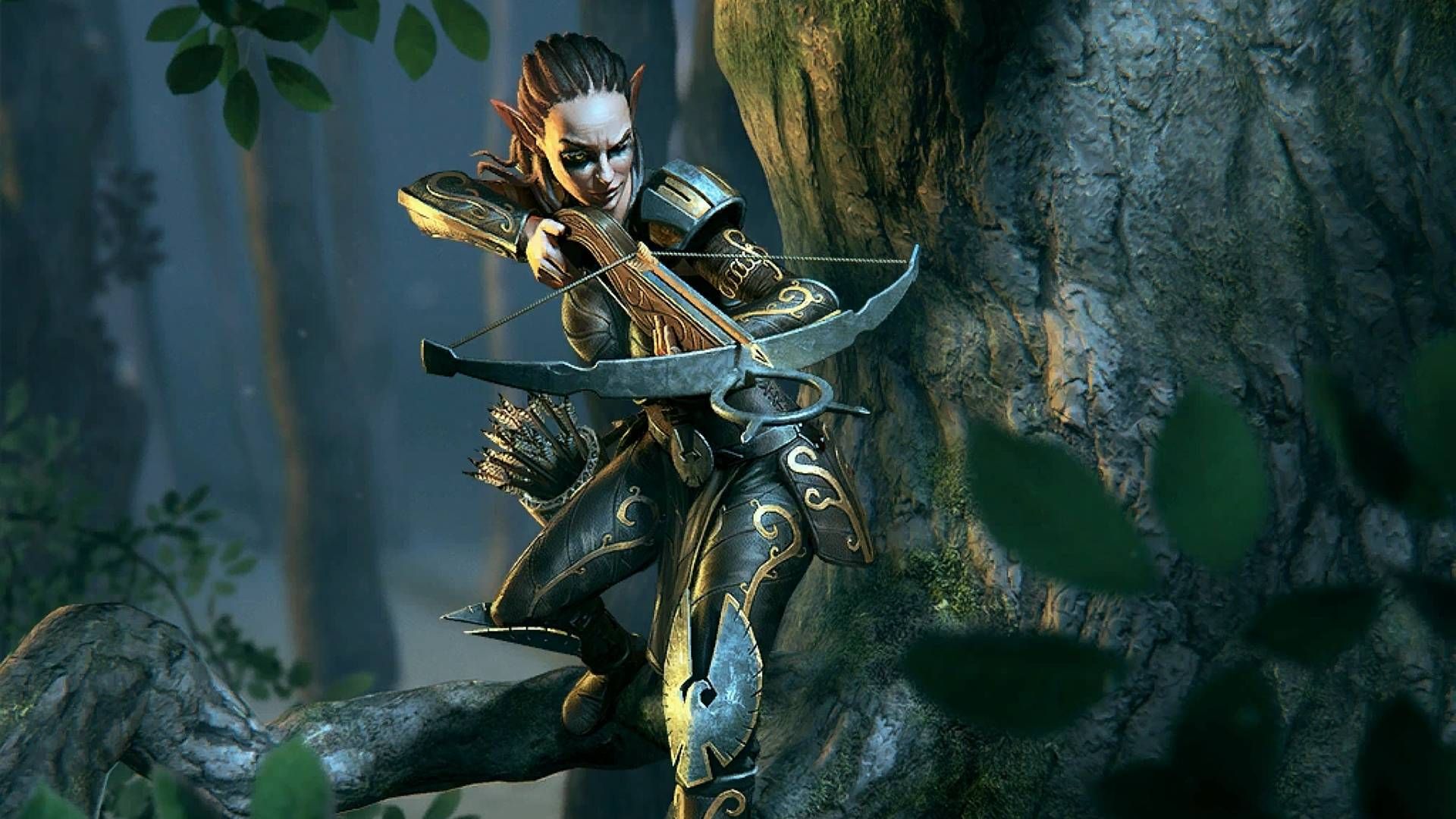 The Elder Scrolls: Valenwood Will Keep You Busy Till The Elder Scrolls 6