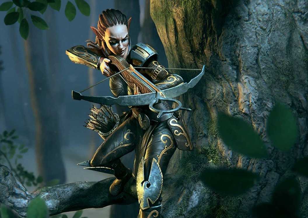 Art of a Valenwood Sentry from The Elder Scrolls.