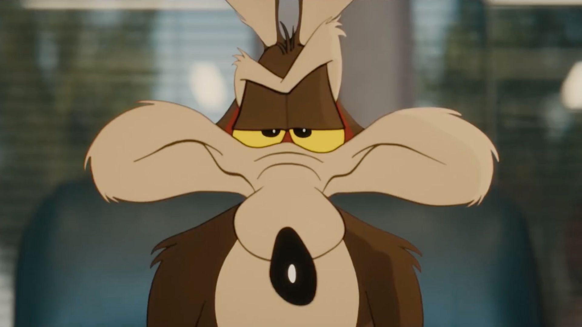 Coyote Vs. Acme Runtime Officially Sets Record In Looney Tunes Franchise image