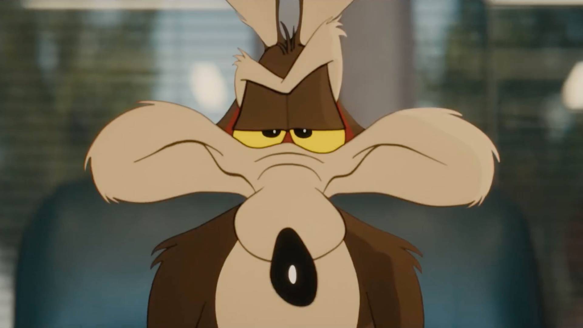 Over 30 Looney Tunes Characters & Cameos In Coyote Vs . Acme Explained