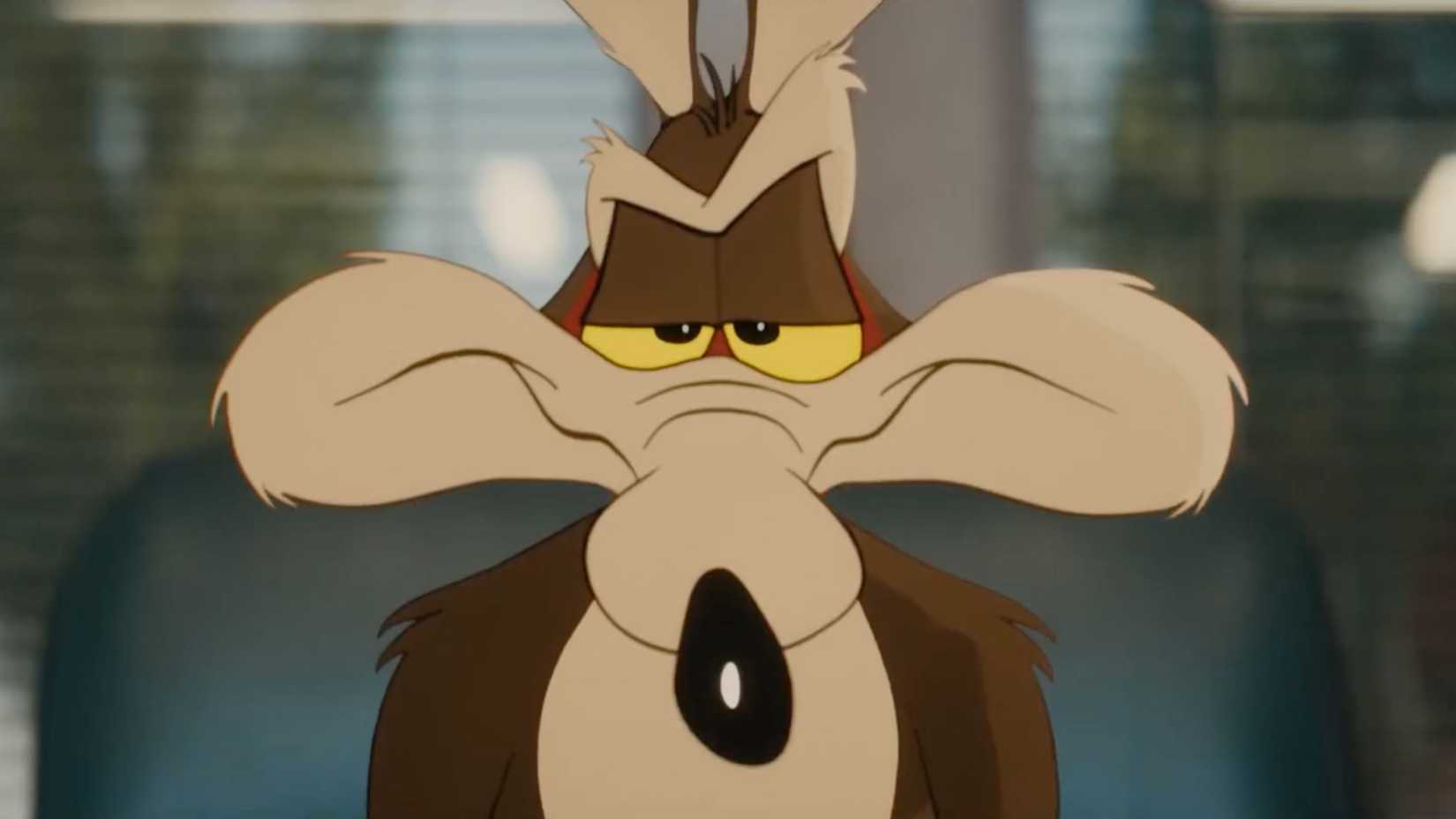 Wile E. Coyote with an unamused expression on his face