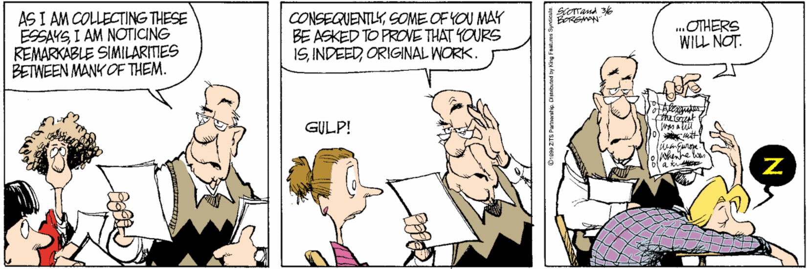 Zits Best Comic Strips Original Work