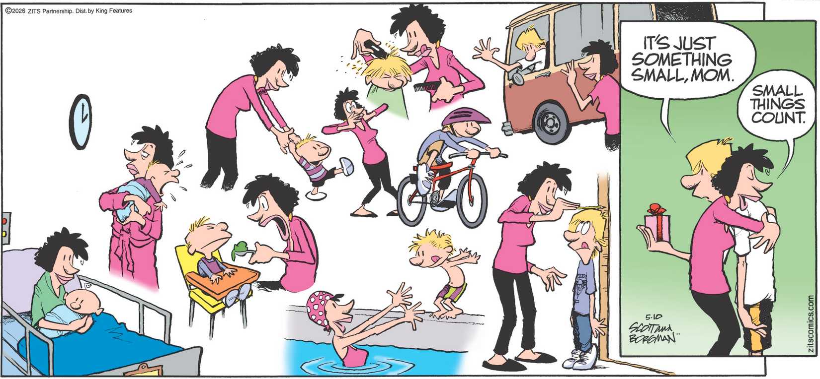 Zits Best Comic Strips Small Things Count