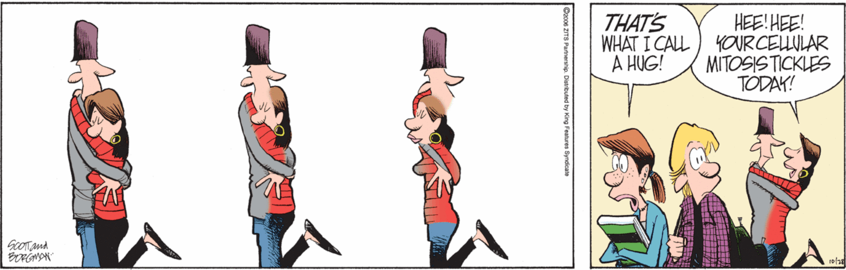Zits Best Comic Strips Your Cellular Mitosis Tickles
