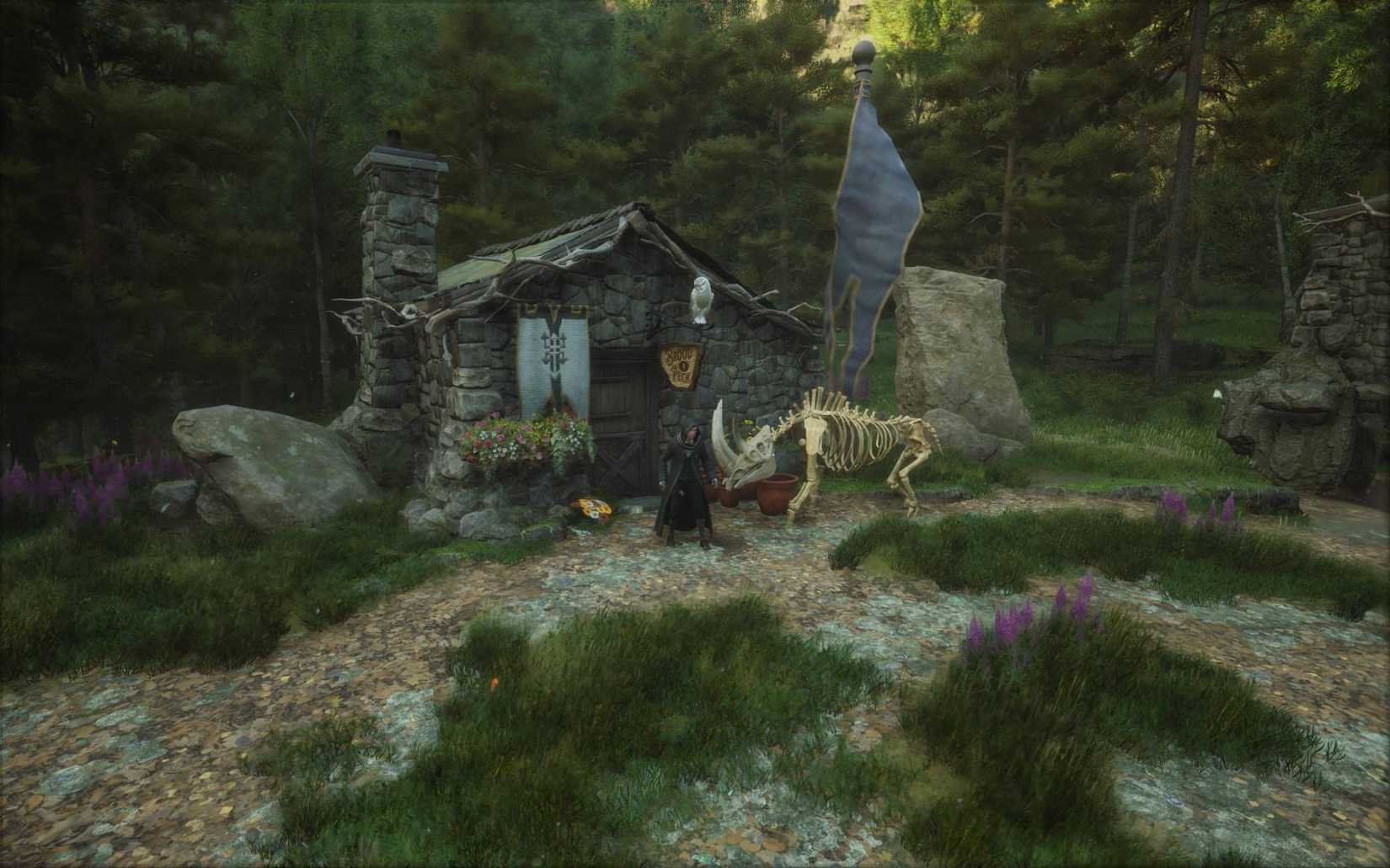 Image taken from the World Weaver Hogwarts Legacy mod