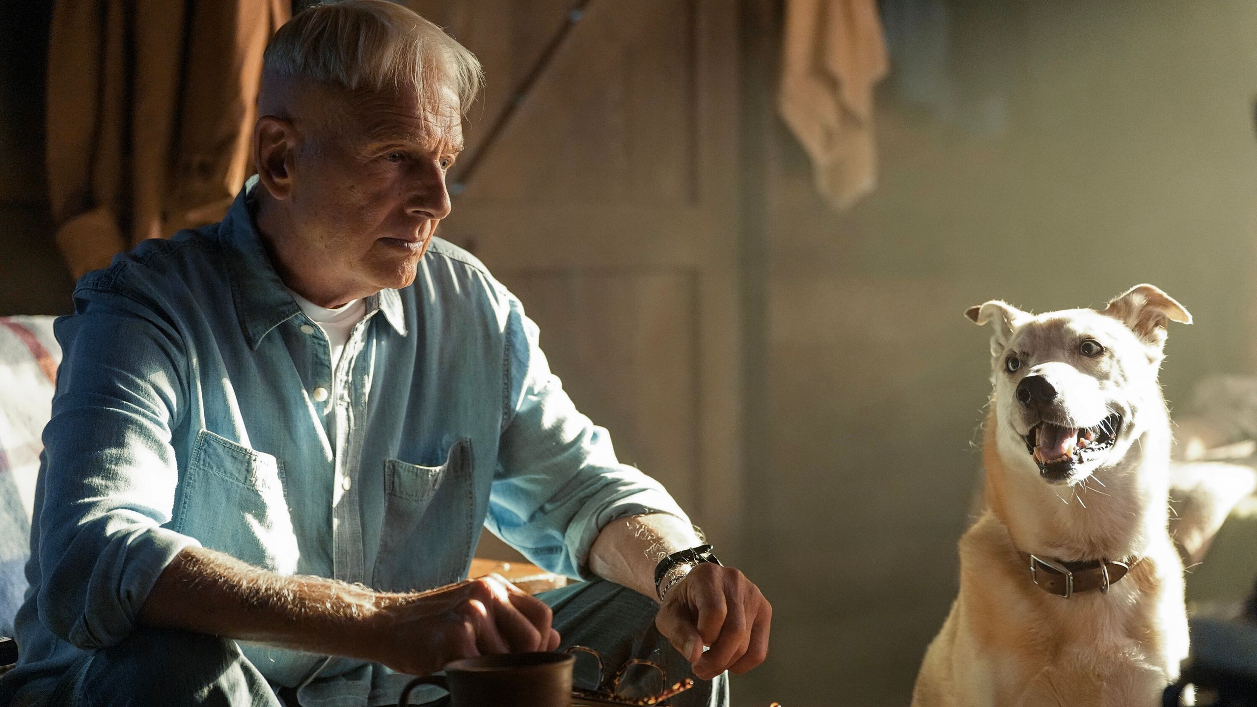 NCIS's Original Series Actor Recast Could Accomplish A Feat That Was Impossible For 18 Years