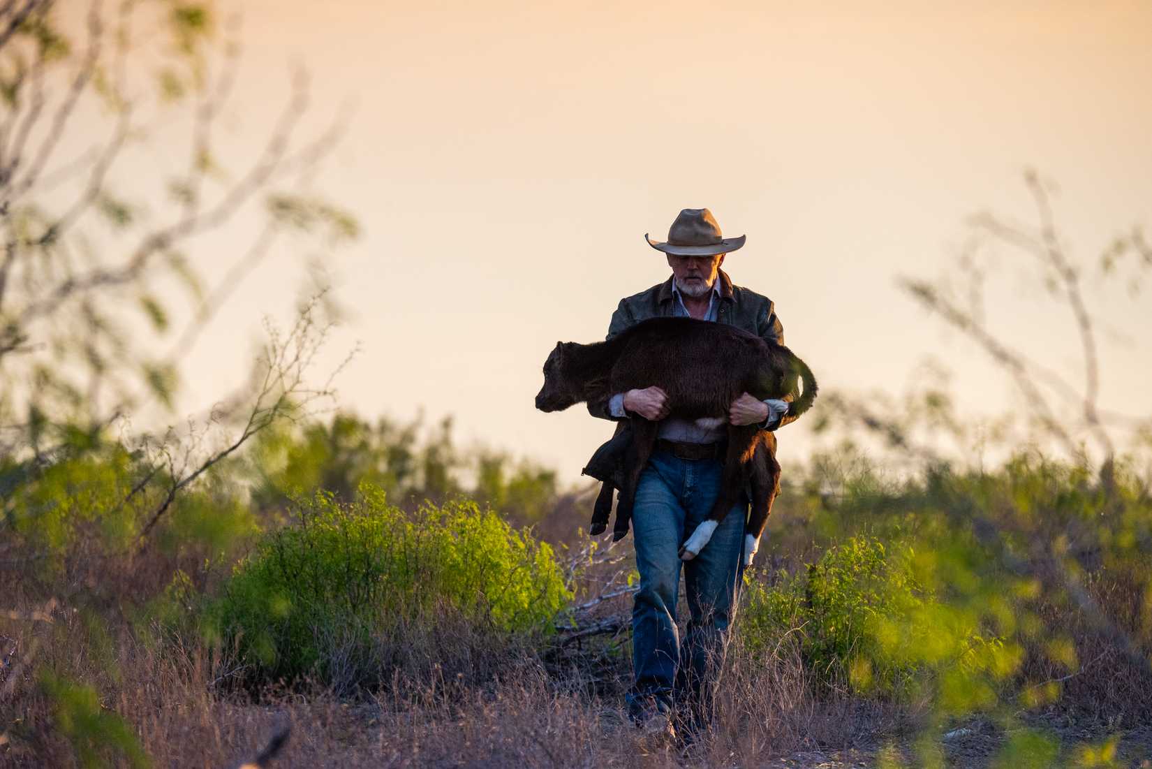 David Morse carries a cald through a field at sunset in Broken Land movie