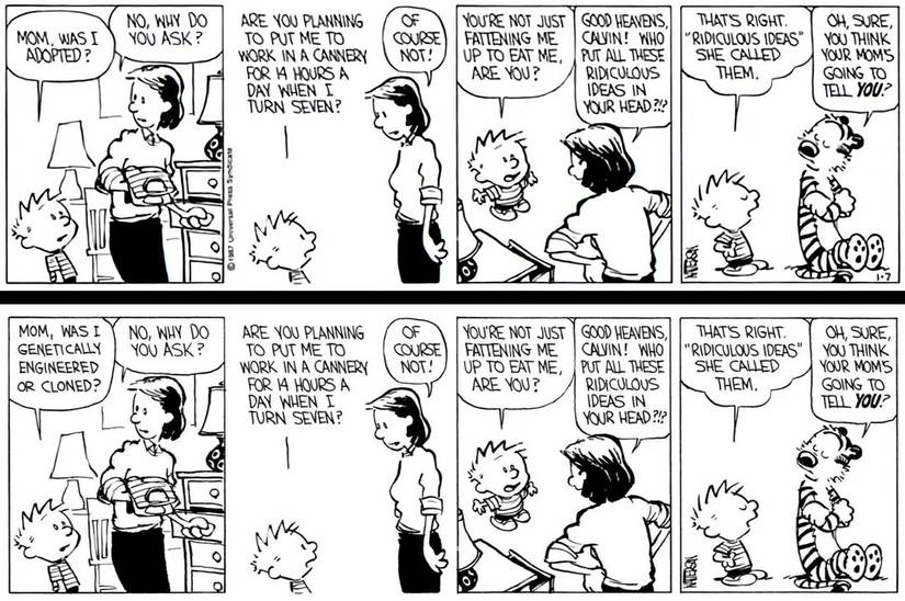 The same Calvin and Hobbes stip shown twice. In the first, Calvin asks "Mom, was I adopted?" In the second, which is included in collections of the strips, Calvin asks "Mom, was I genetically engineered or cloned?"