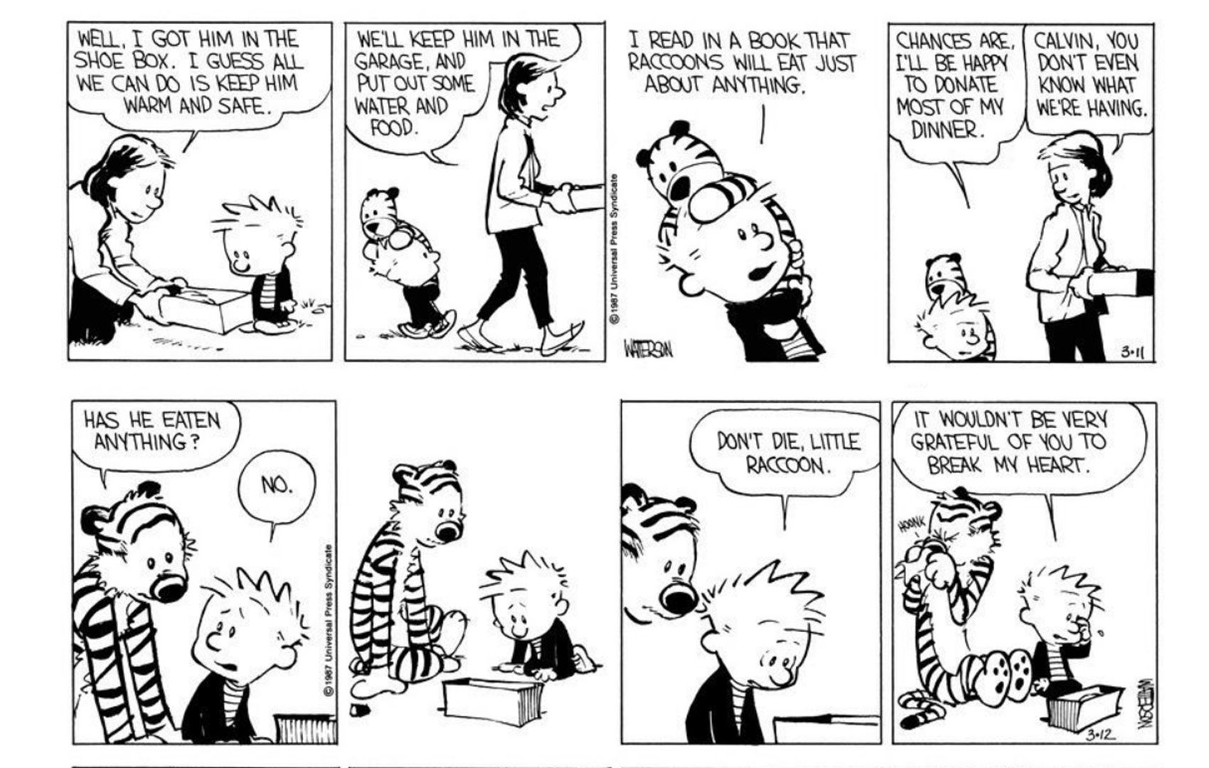 Calvin and Hobbes comic strips about the baby raccoon story (parts 3 and 4)