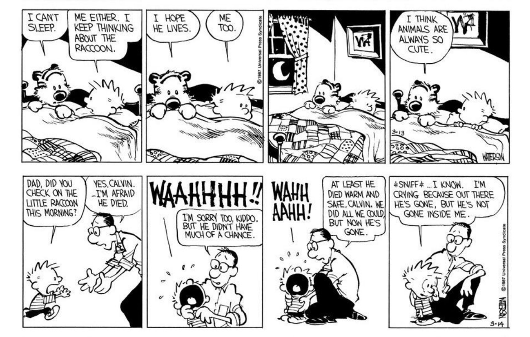 39 Years Later, Calvin and Hobbes’ Most Heartbreaking Storyline Still ...