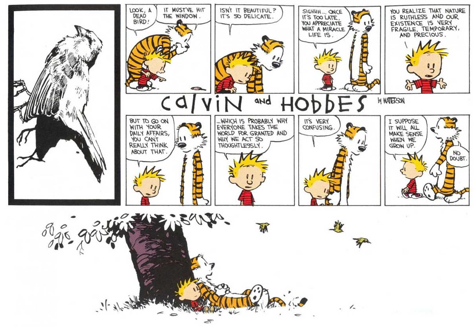 CALVIN AND HOBBES DEAD BIRD COMIC