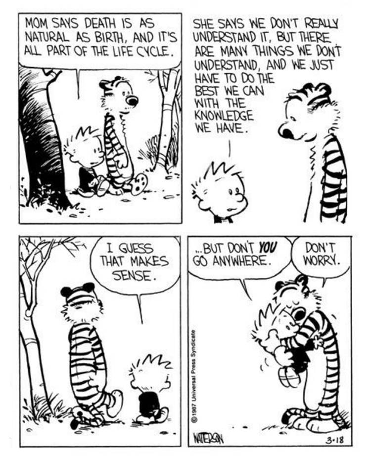 Calvin and Hobbes Final raccoon strip
