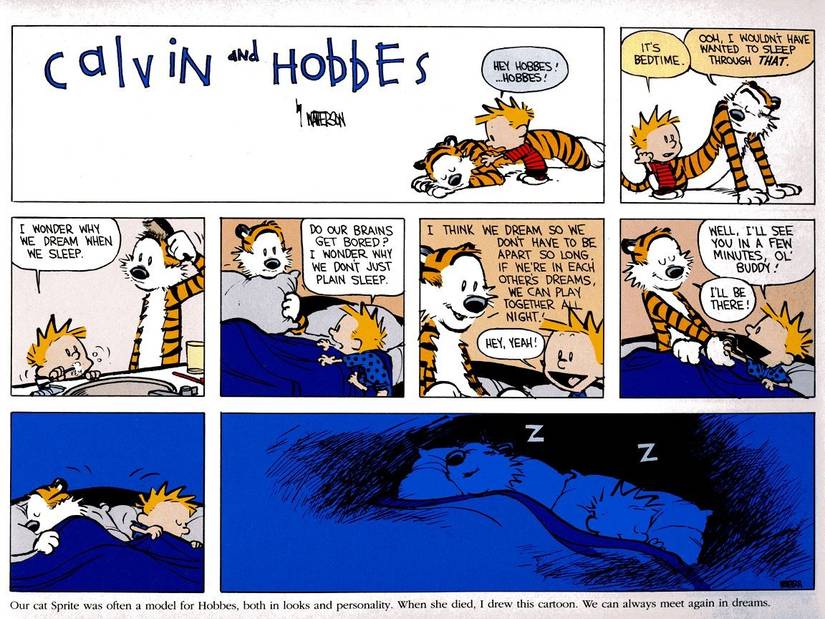 The Calvin and Hobbes strip that Bill Watterson made after his cat, Sprite, died. In it, Calvin and Hobbes prepare for bed and primise to meet up in their dreams so they won't have to be apart for too long.