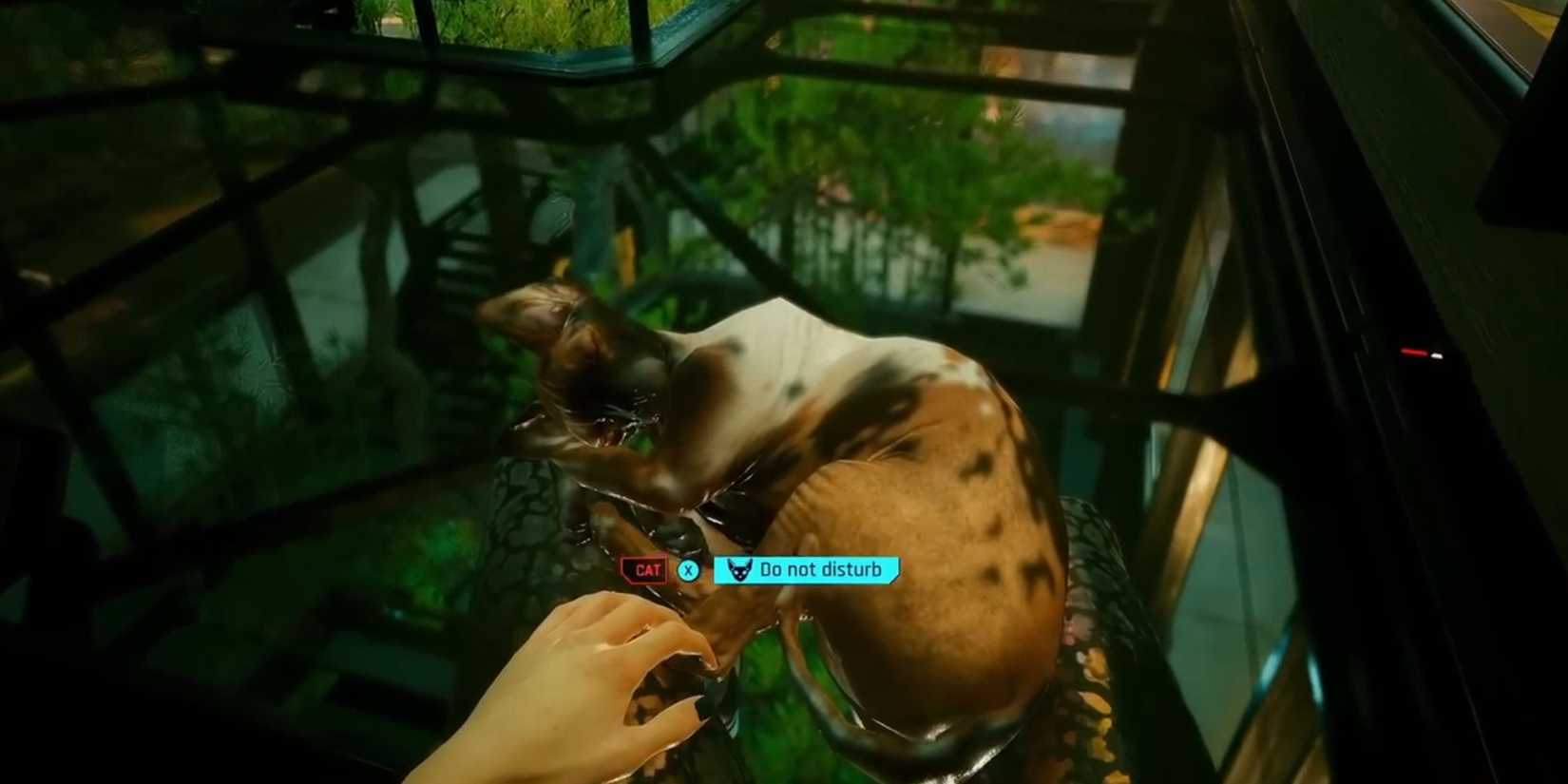 Cat sleeping on Vs lap in Cyberpunk 2077
