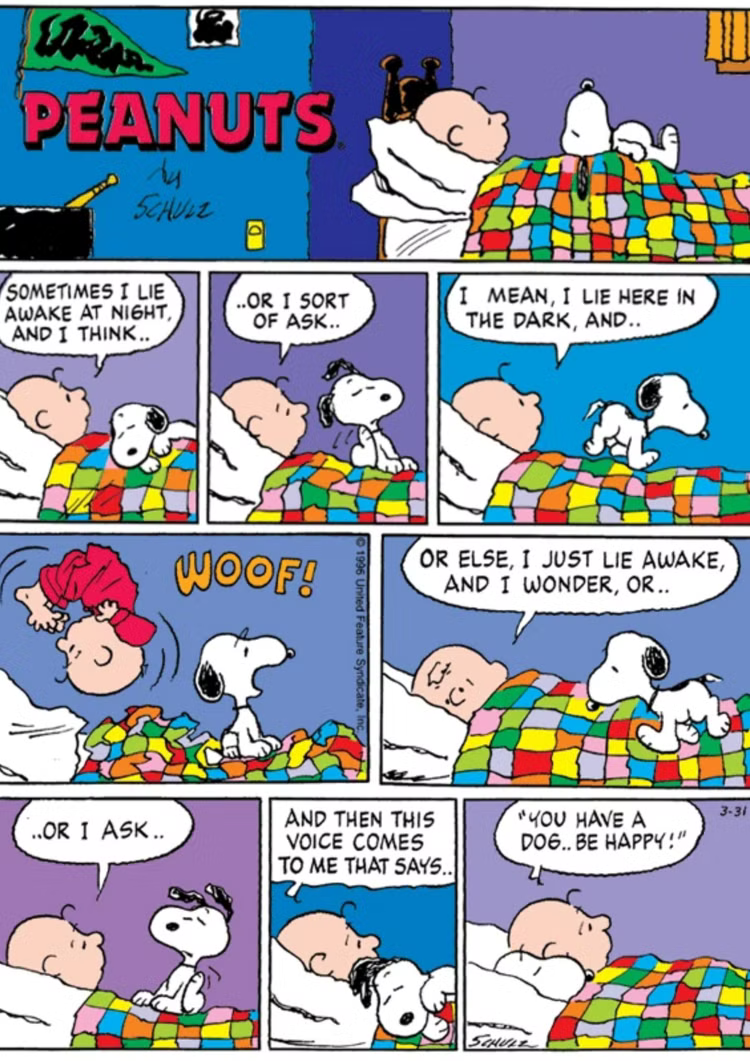 Charlie Brown's Sleepless Night Turns Snoopy Into His Best Distraction Peanuts comic strip