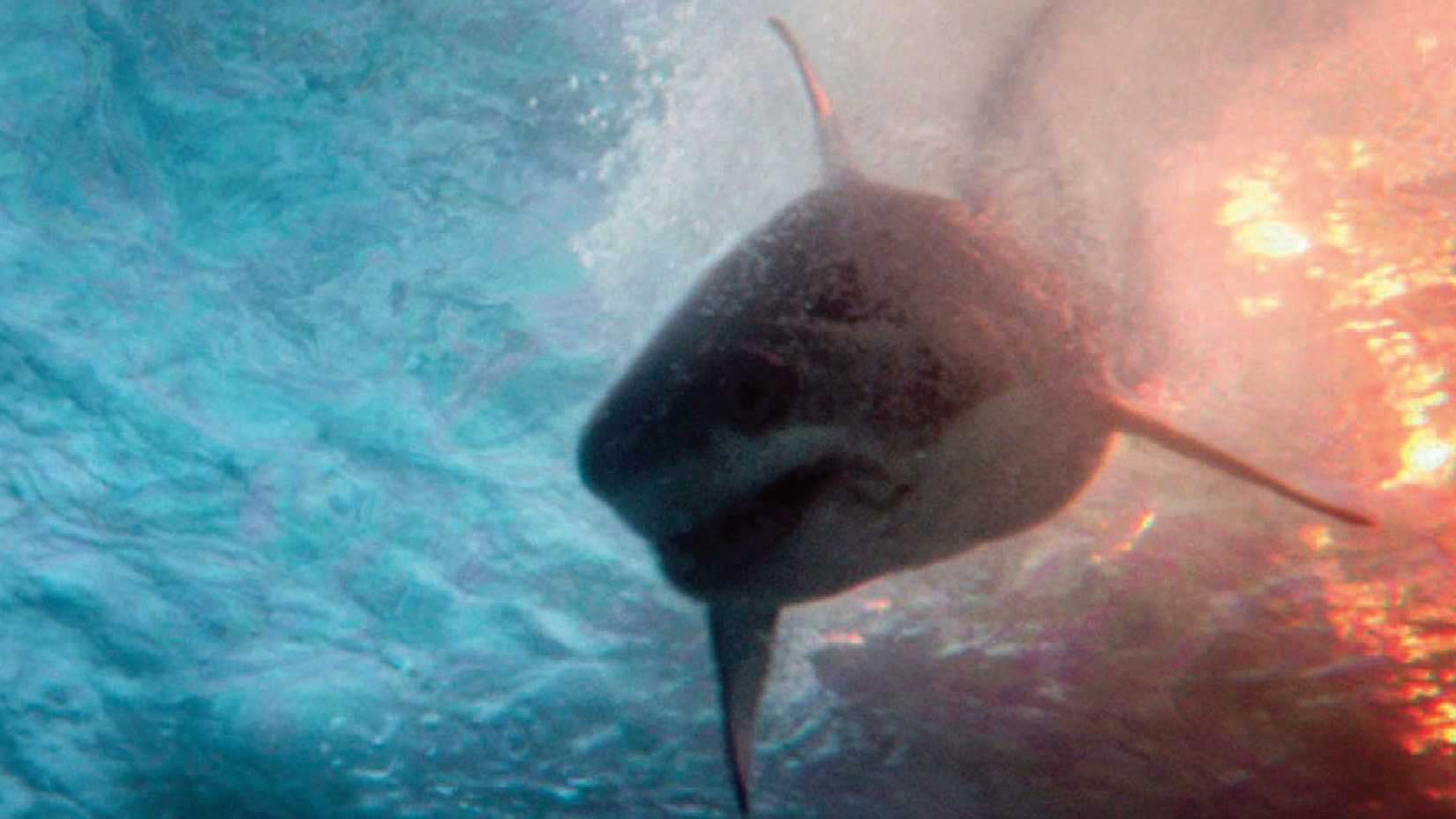 Deep Water 2026