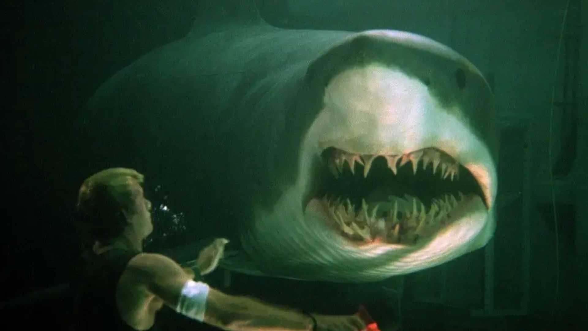 2026's Stealth Deep Blue Sea Sequel Is An Instant Cult Classic For Jaws Fans