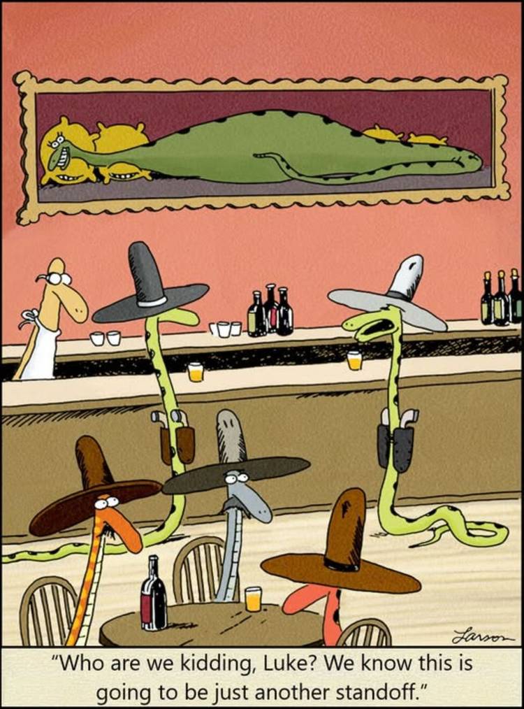 Far Side Cowboy snakes