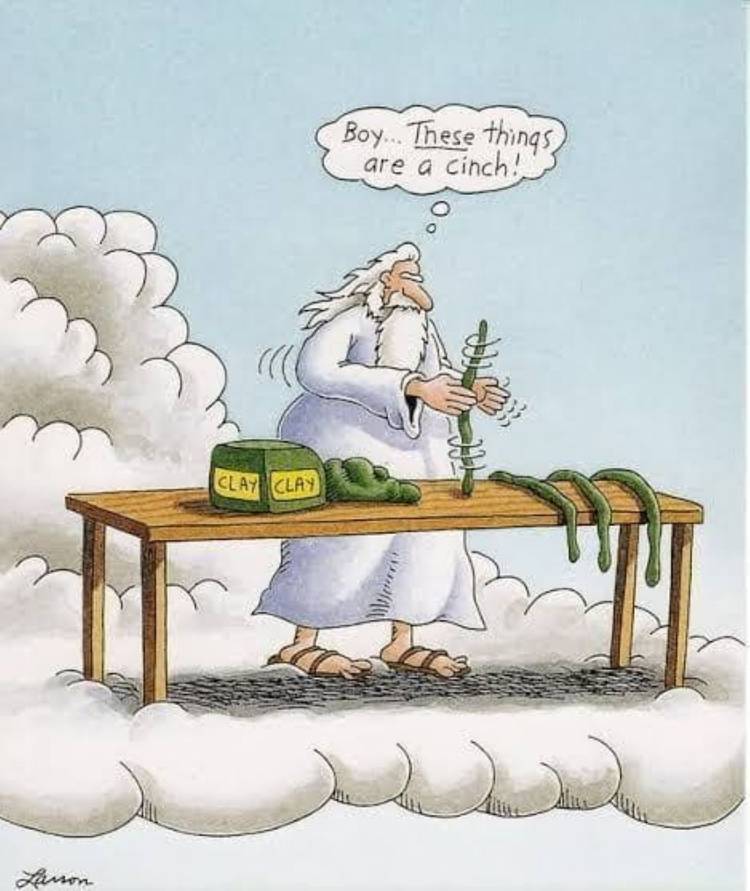 Far Side god making snakes