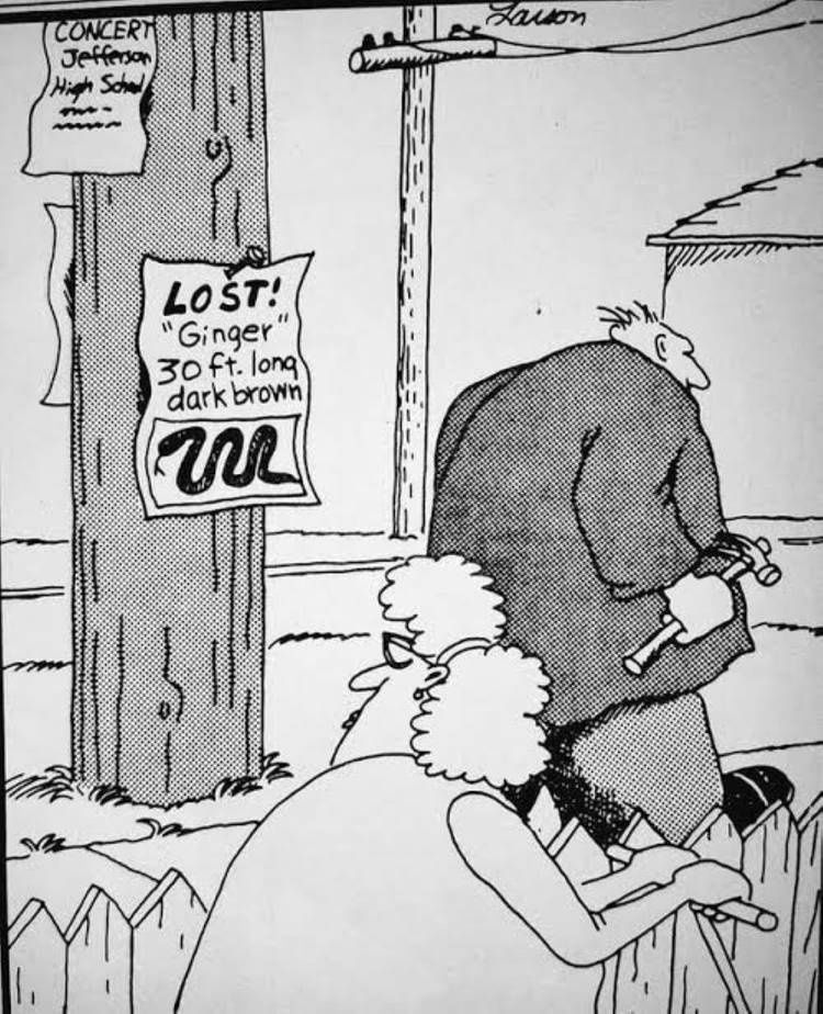 Far Side snake lost